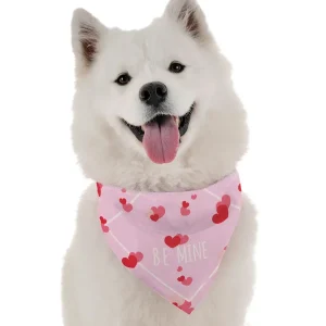 Be Mine Valentine's Dog Bandana, BanDoggie