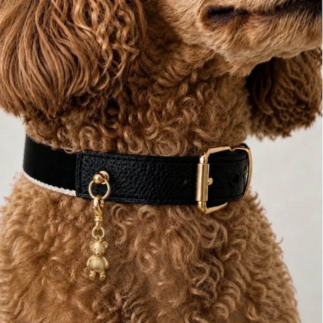 Teddy Collar Charm - Image 2