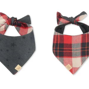 Doggy Duo Bandana - The Adventurer