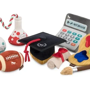Back to School Collection