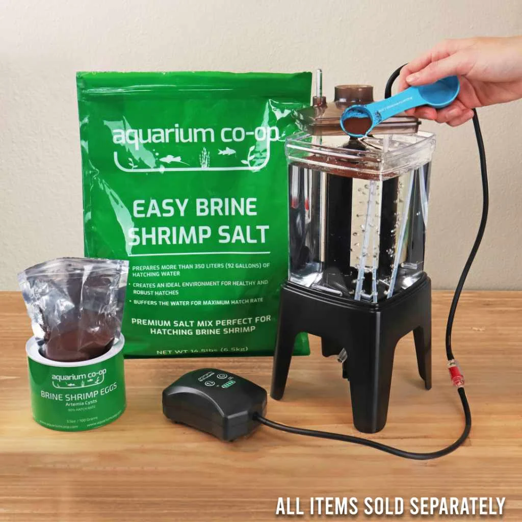 Easy Brine Shrimp Salt - Image 2