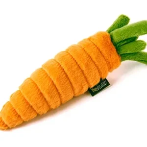 Garden Fresh Carrot