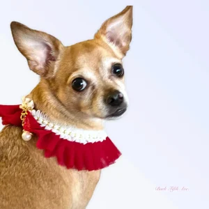 Bark Fifth Avenue Pearl Neck Ruff Dog Harness