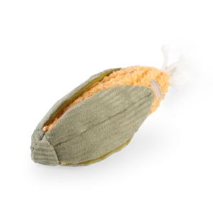 CORN