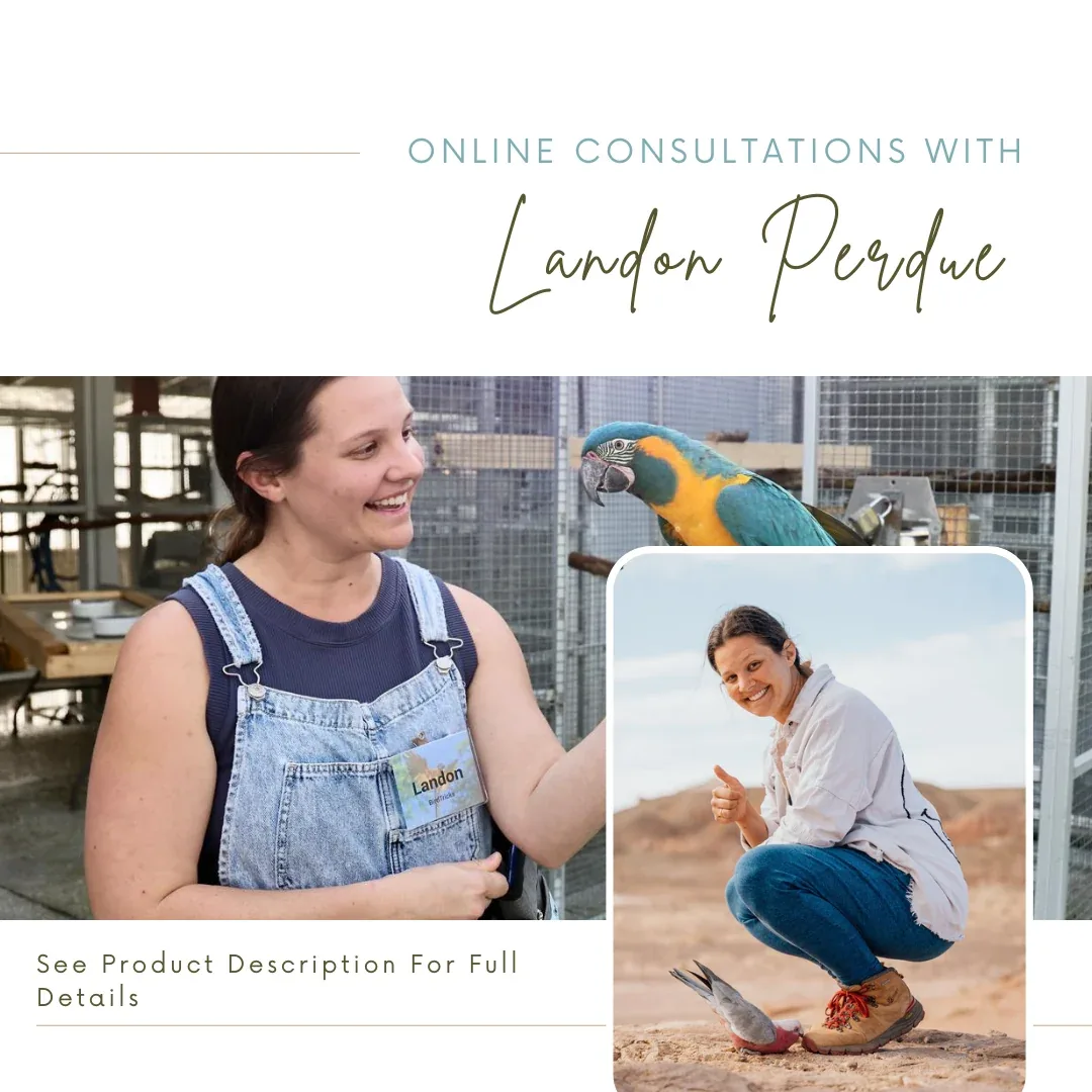 BirdTricks Consultant - Landon Perdue