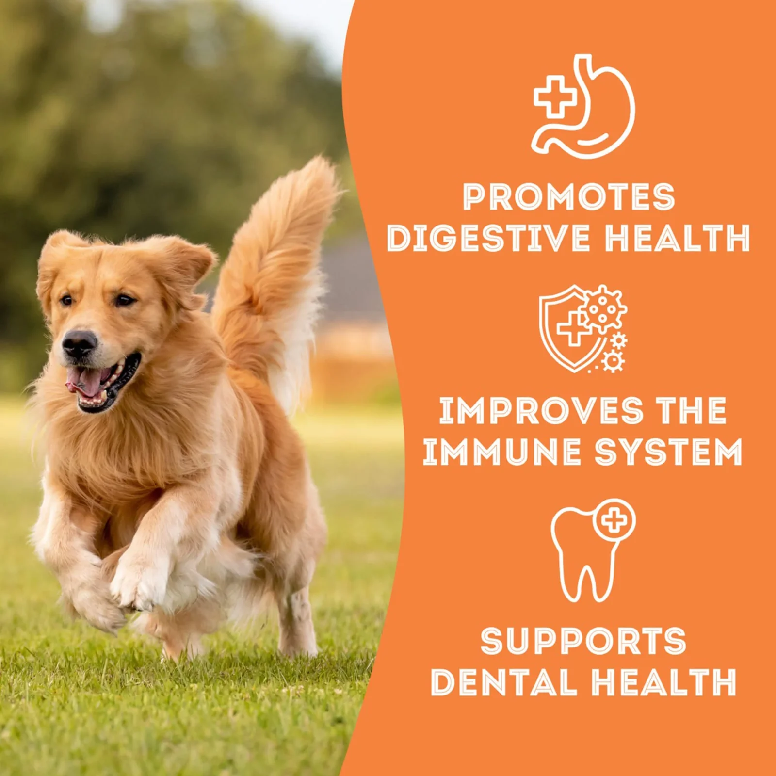 Pet Treatery Grain Free Biscuits Natural Dog Treats - Image 2
