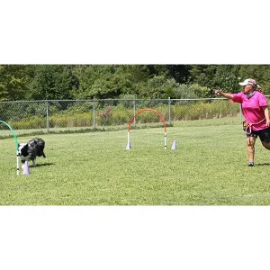 Clean Run Monthly Distance Challenge: Expand Your Distance Handling Skills