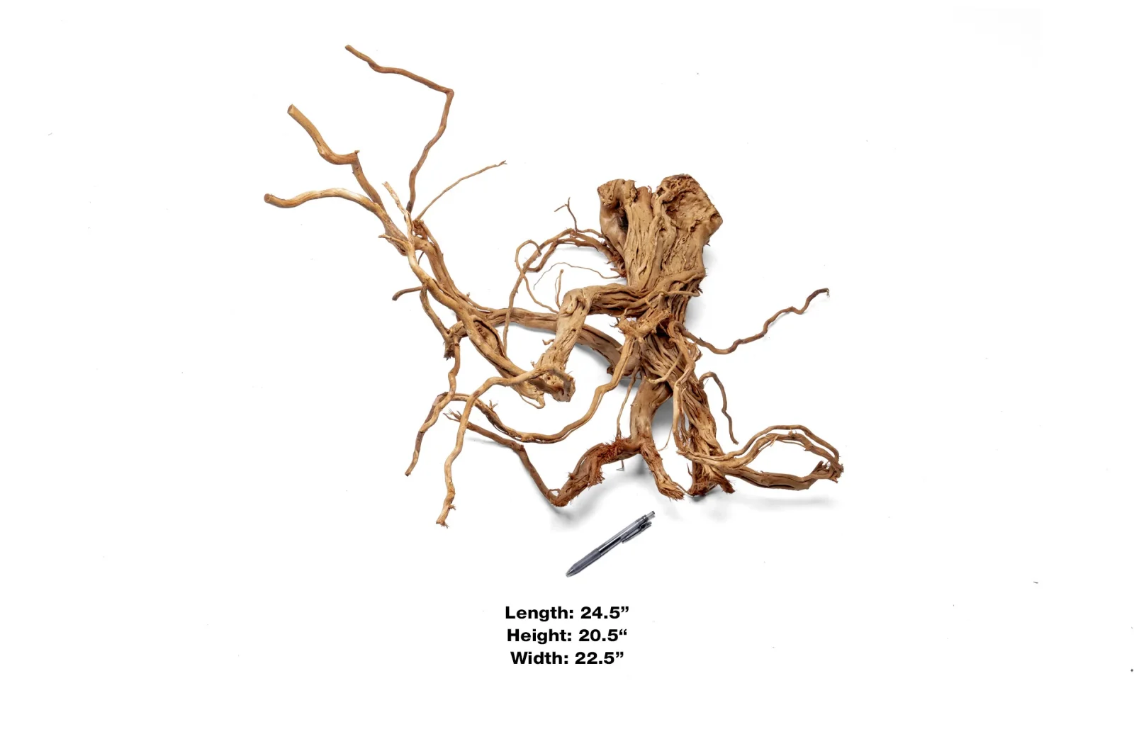 Ancient Wood Showpiece (AW014) - Image 2