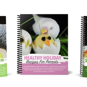 Natural Feeding System (In Print)