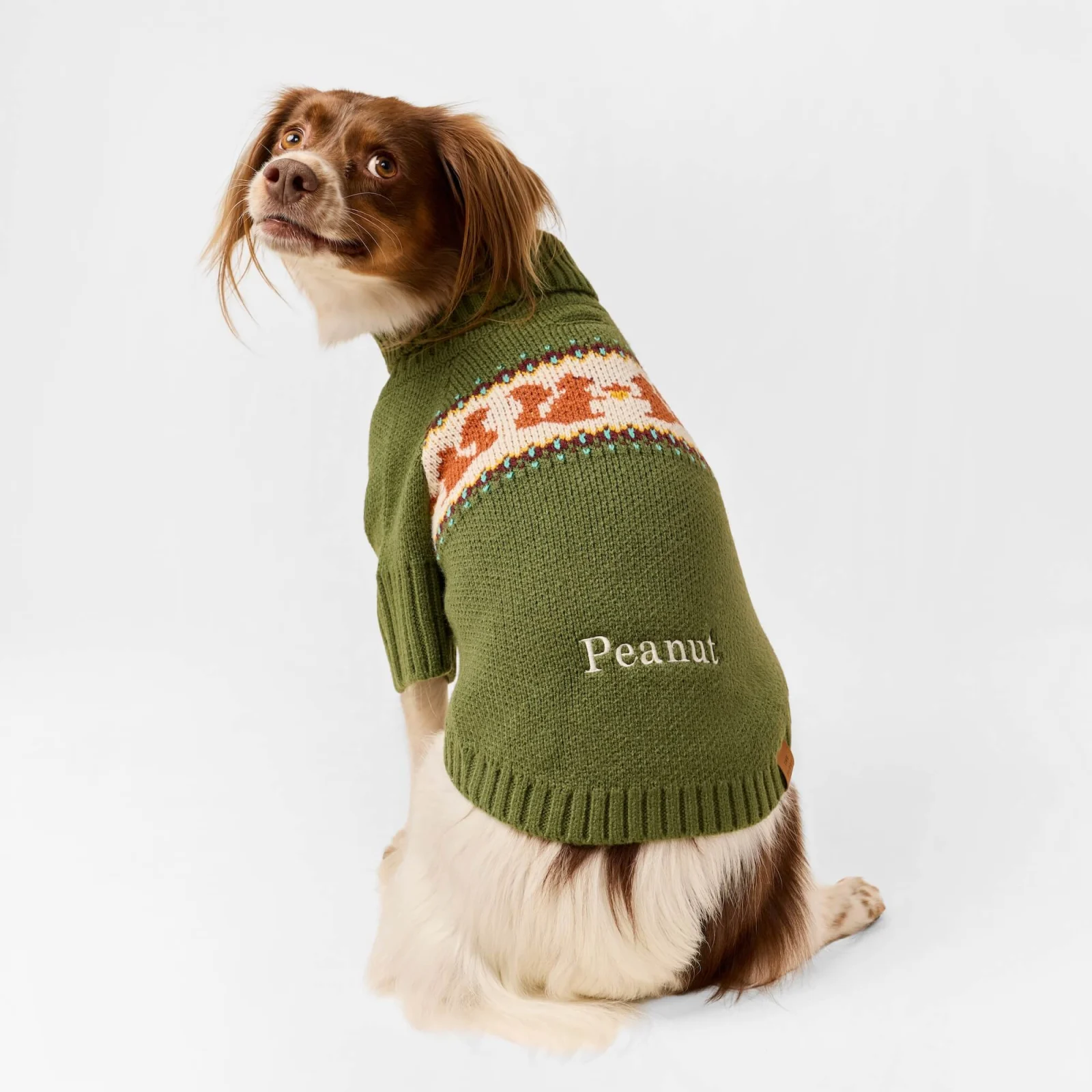 Squirrel Dog Sweater