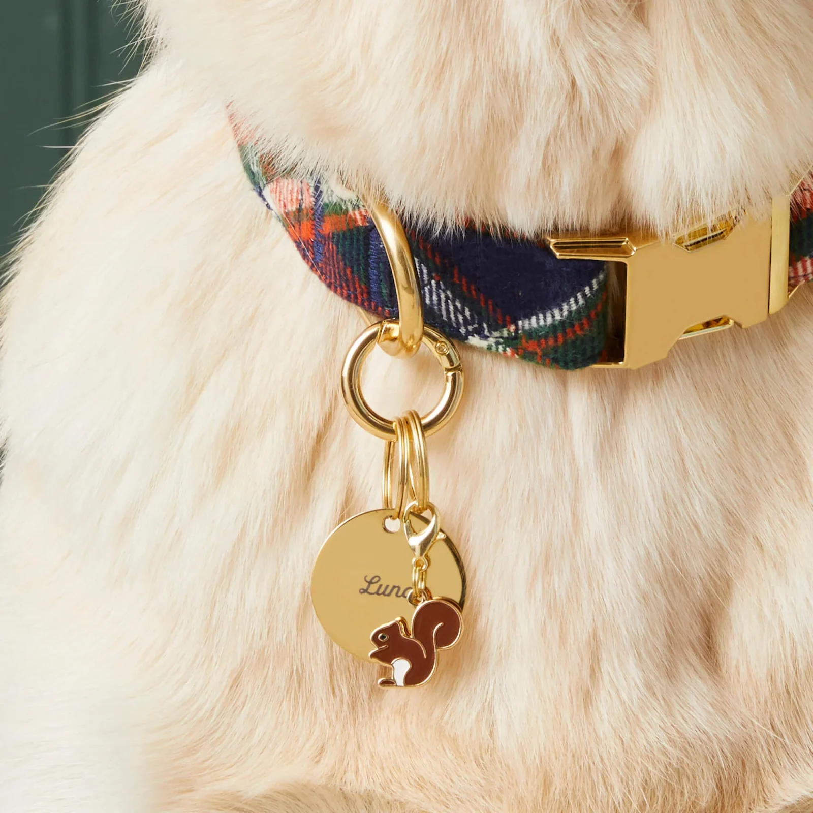 Brown Squirrel Collar Charm - Image 2