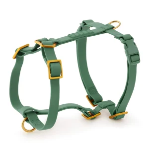 Active Flex Dog Harness (XS/S), Fern