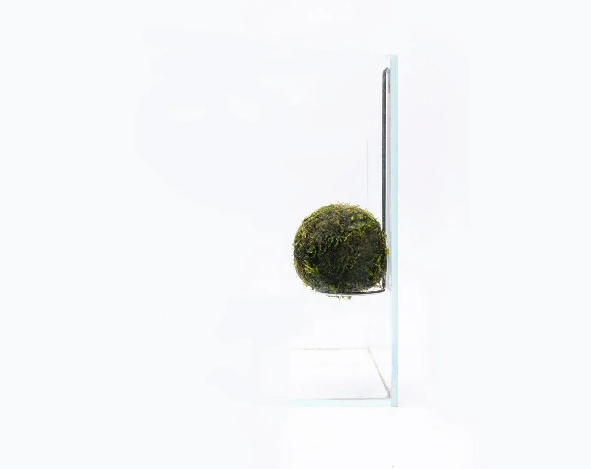 Aqua Worx Halo Wabi Kusa Hanger