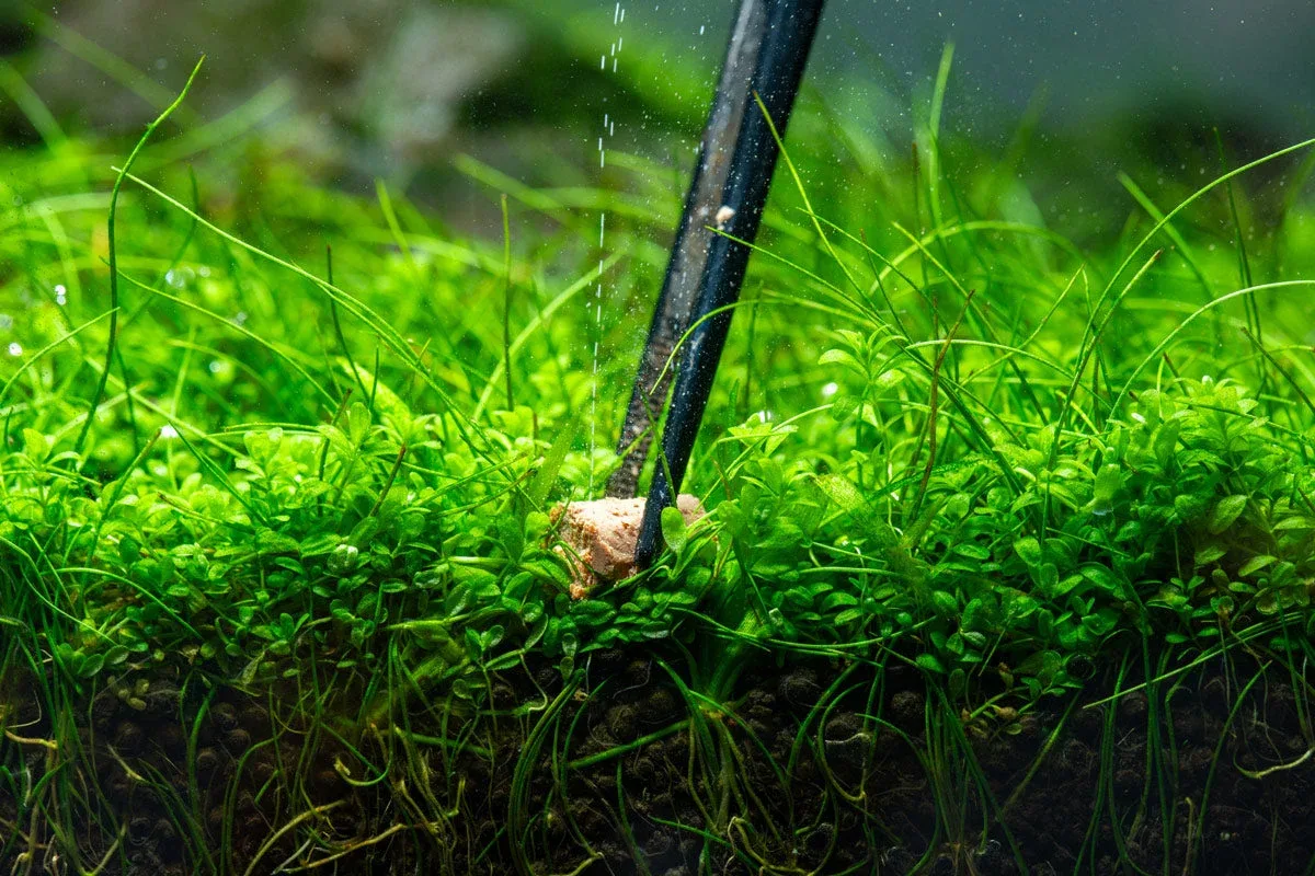 Aquario Neo Solid No CO2 Tab - Aquatic Plant Root Fertilizer - Image 2