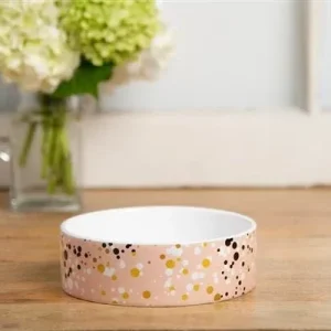 Paris Pet Bowl
