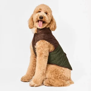 Olive Reversible Dog Jacket