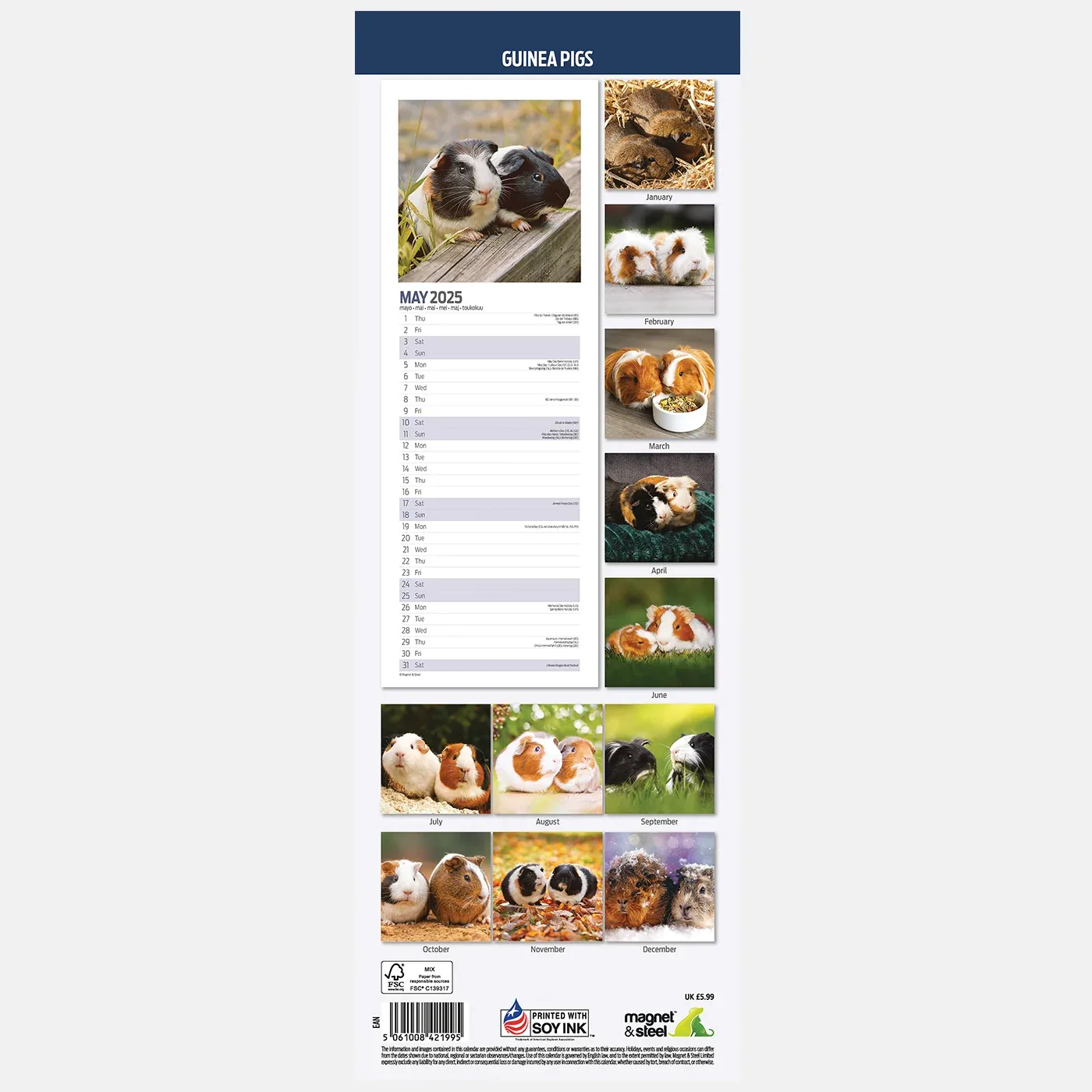 Guinea Pig Slim Calendar 2025 - Image 2
