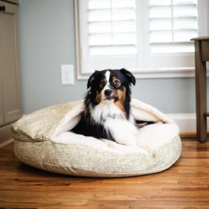 Luxury Orthopedic Cozy Cave® Dog Bed – Show Dog Collection