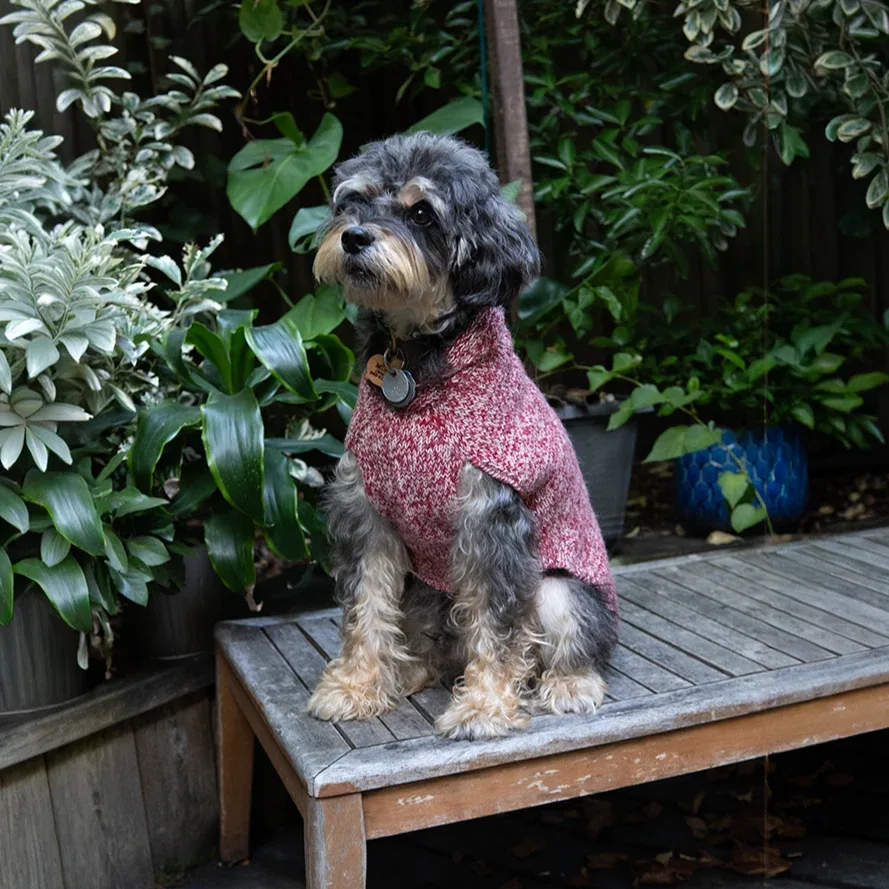 Major Shawl Collar Sweater - Marled Red