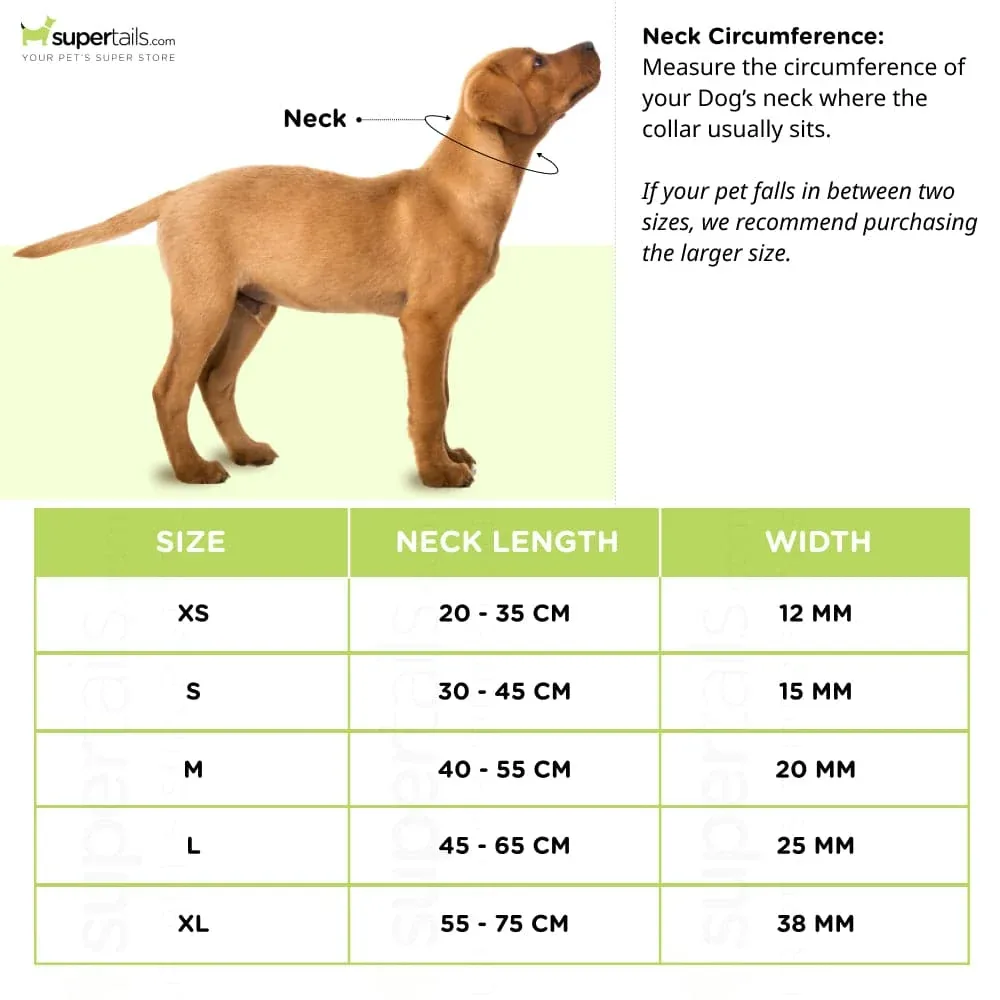 PetsPot Melange Regular Harness for Dogs (Assorted) - Image 2