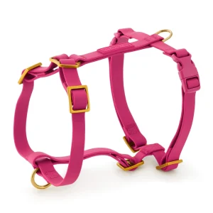 Active Flex Dog Harness (XS/S), Dahlia