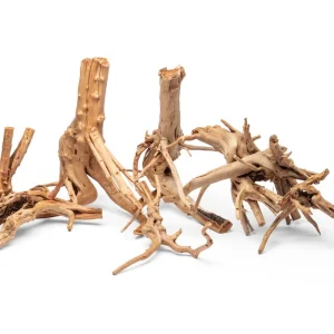 Nano Spiderwood