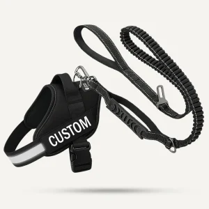 Essentials Set