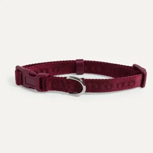 Signature Collar