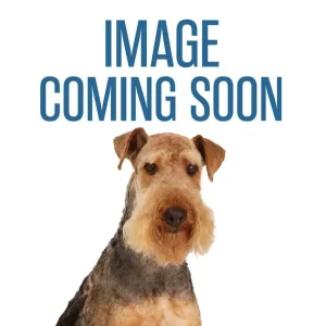 Digger's Tennis Ball Toy, 2-Count
