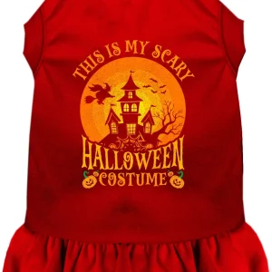 Scary Halloween Costume Pet Dress
