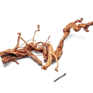 Ancient Wood Showpiece (AW02)
