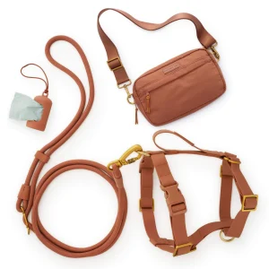 Active Adventure Harness Walk Set - With Handle (M/L), Saddle