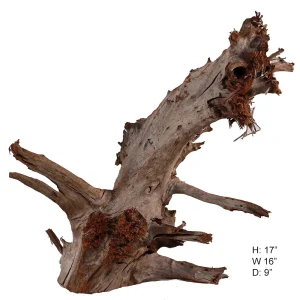 Malaysian Driftwood, Super WYSIWYG 17" x 16"