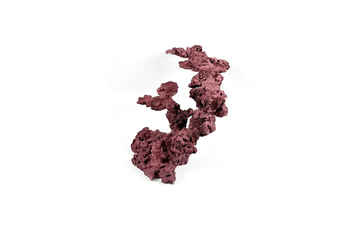 Reef Rock Showpiece (RRS026) - Image 2