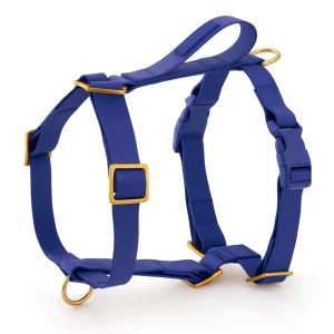 Active Flex Dog Harness - With Handle (M/L), Azure