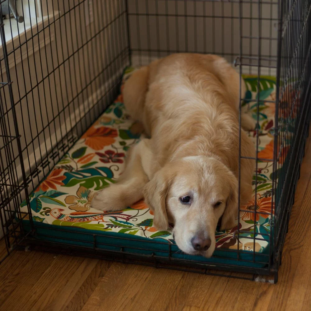 Forgiveness™ Fully Washable Dog Crate Pad – Wag Collection