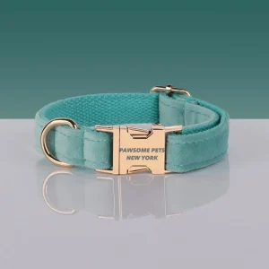 Pawsome Pets Adjustable Nylon Dog Collar #21 - Quick-Release Buckle for Secure Fit