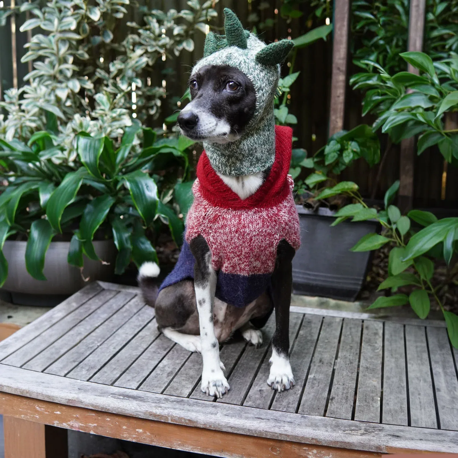 Colby Hoodie Sweater - Marled Red - Image 2