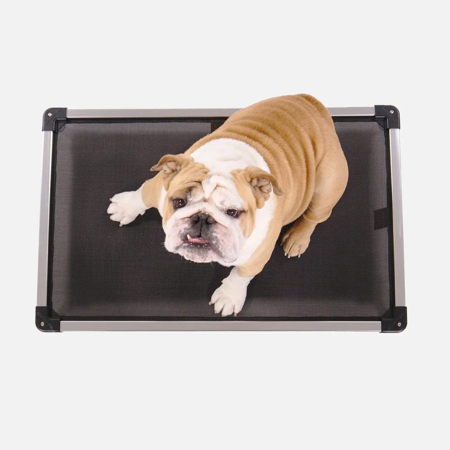 Chew Proof Armored™ Mesh Dog Bed - Open Box - Image 2