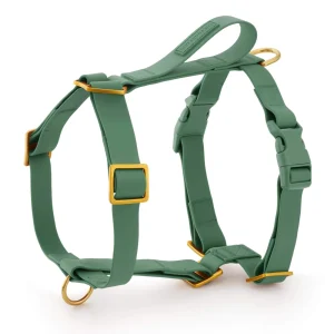 Active Flex Dog Harness - With Handle (M/L), Fern