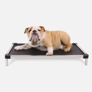 Chew Proof Armored™ Mesh Elevated Dog Bed