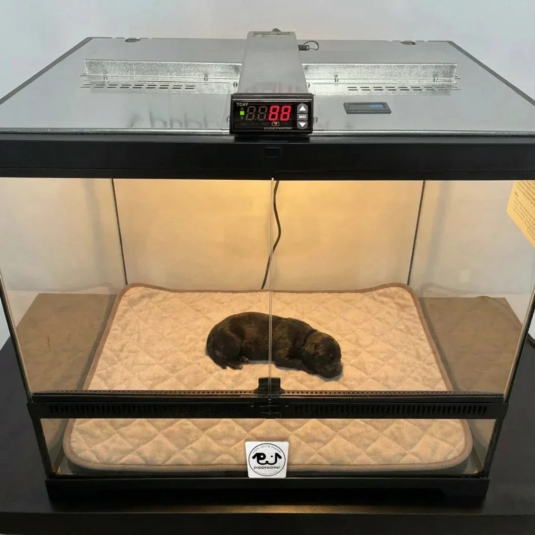 Puppywarmer Incubator Pee Pad