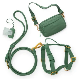 Active Adventure Harness Walk Set - With Handle (M/L), Fern