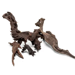 Malaysian Driftwood