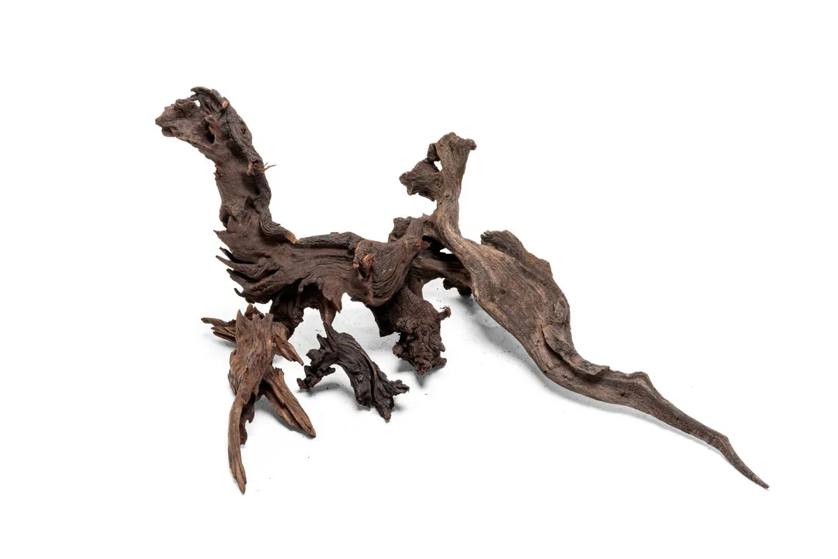 Malaysian Driftwood