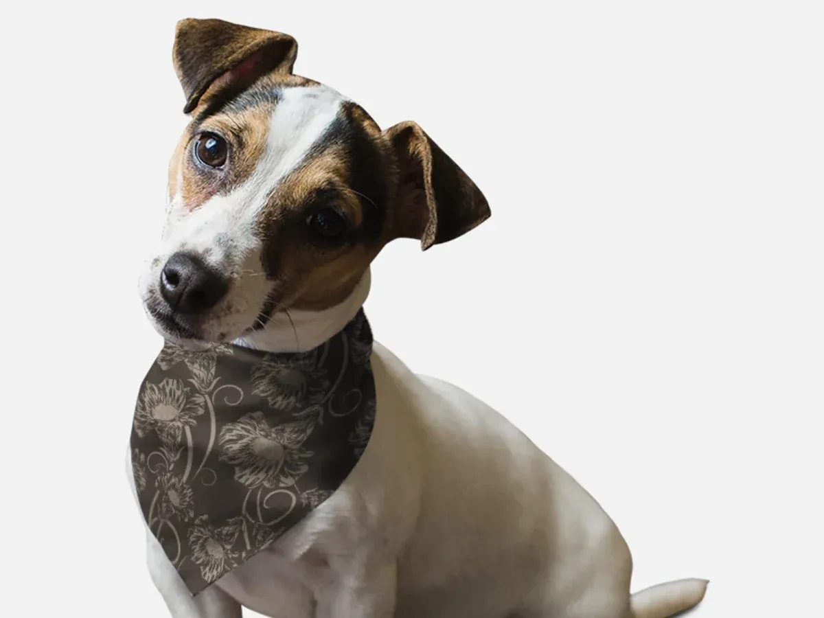 1950's Retro Style Dog Bandana, BanDoggie - Image 2