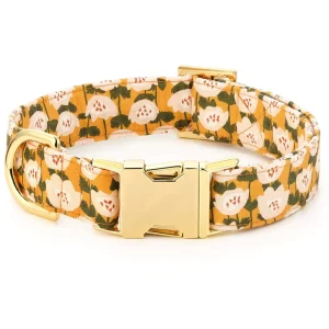 Goldenflowers Dog Collar