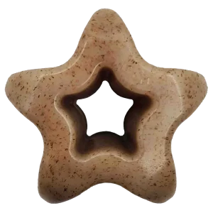 Durable Nylon Star Dog Chew Toy and Enrichment Toy for Aggressive Chewers