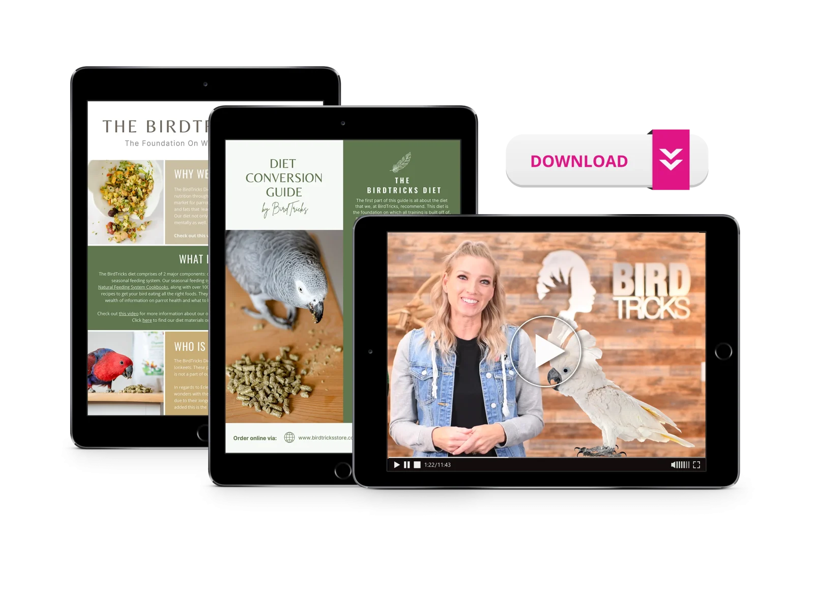 Diet Conversion Course - Image 2