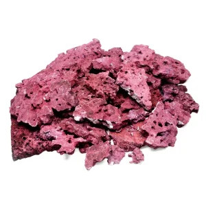 Natural Reef Shelf Rock - Coralline